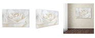 Trademark Global Cora Niele 'Pure White Rose' Canvas Art - 19" x 12" x 2"